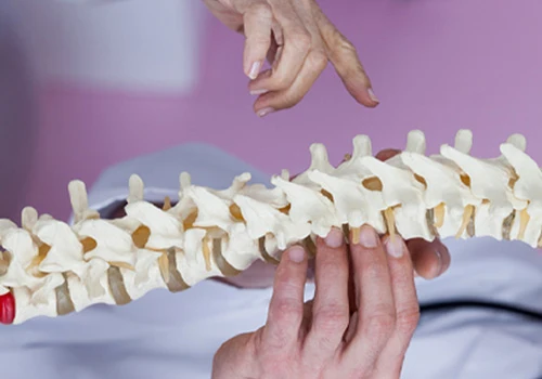 Spinal Decompression Boardman OH Chiropractic Spine Diagram